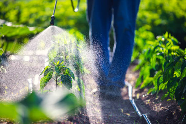 Indoor Pest Control in Alexandria, MN